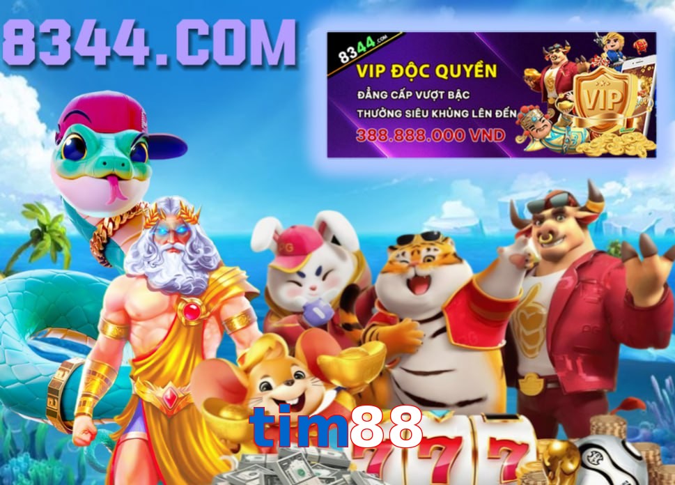 tim88